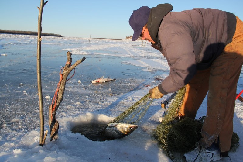 Experience the Thrill of Ice Fishing Live Casino in the UK, ice fishing live casino